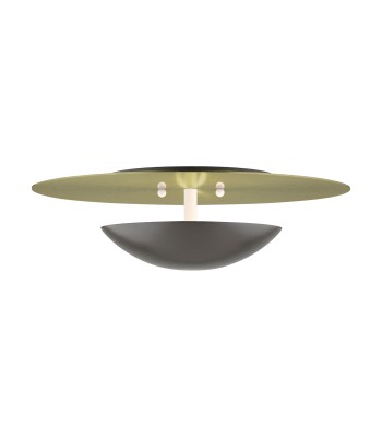 Livex Ventura Semi-Flush/Wall Sconce 56570-92