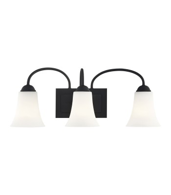 Livex Ridgedale Bath Light 6483-04