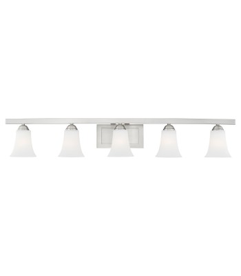 Livex Ridgedale Bath Light 6485-91
