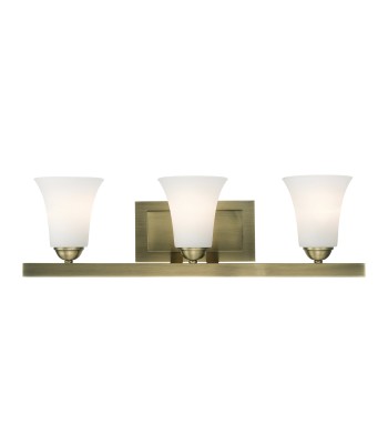 Livex Ridgedale Bath Light 6493-01