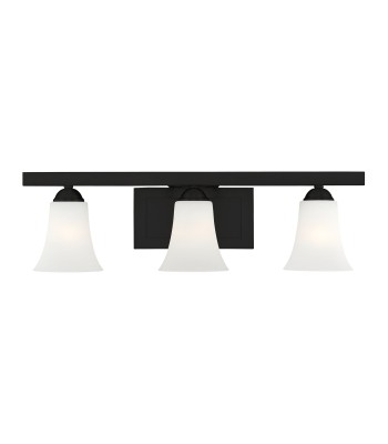 Livex Ridgedale Bath Light 6493-04