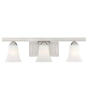 Livex Ridgedale Bath Light 6493-91
