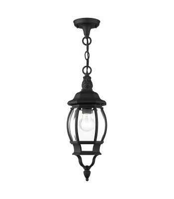 Livex Frontenac Outdoor Pendant Lantern 7523-14