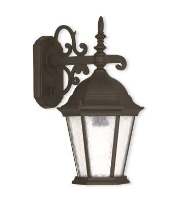 Livex Hamilton Outdoor Wall Lantern 75462-14