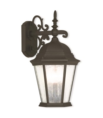 Livex Hamilton Outdoor Wall Lantern 75466-14