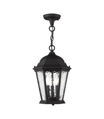 Livex Hamilton Outdoor Pendant Lantern 75469-14