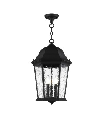 Livex Hamilton Outdoor Pendant Lantern 75475-14