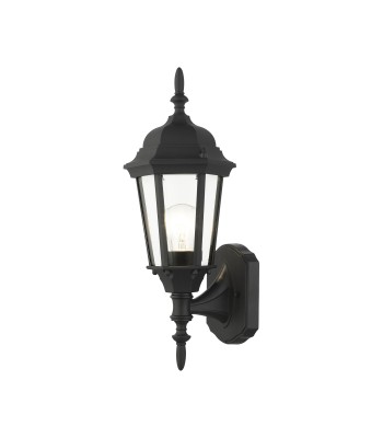 Livex Hamilton Outdoor Wall Lantern 7551-14