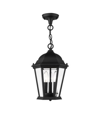 Livex Hamilton Outdoor Pendant Lantern 7564-14