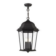 Livex Hamilton Outdoor Pendant Lantern 7569-14