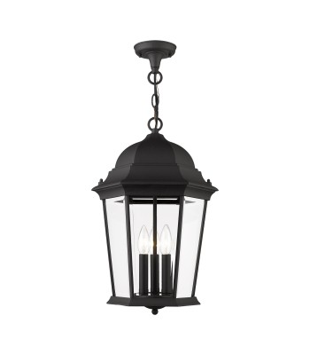 Livex Hamilton Outdoor Pendant Lantern 7569-14