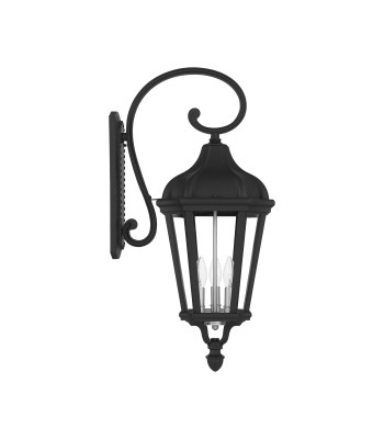 Livex Morgan Outdoor Wall Lantern 76192-14