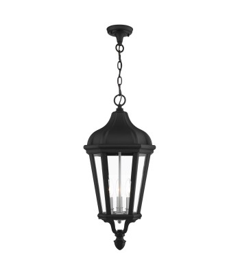 Livex Morgan Outdoor Pendant Lantern 76193-14
