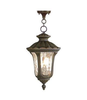 Livex Oxford Outdoor Pendant Lantern 7658-58