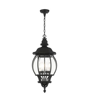 Livex Frontenac  Outdoor Pendant Lantern 7705-14