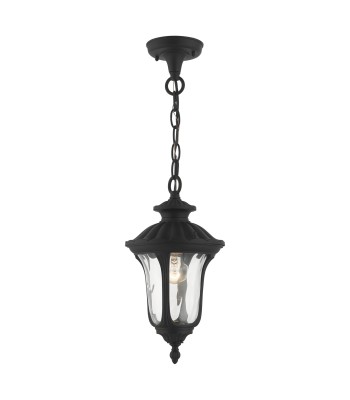 Livex Oxford Outdoor Pendant Lantern 7849-14