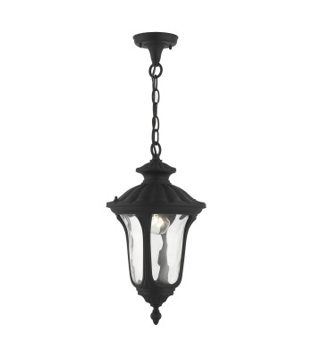 Livex Oxford Outdoor Pendant Lantern 7854-14