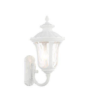 Livex Oxford Outdoor Wall Lantern 7856-13