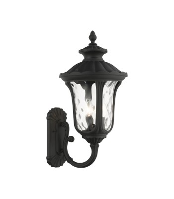Livex Oxford Outdoor Wall Lantern 7856-14