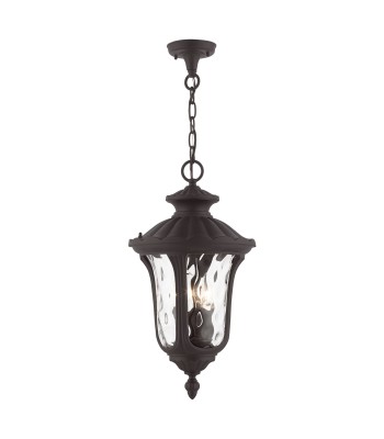 Livex Oxford Outdoor Pendant Lantern 7858-07