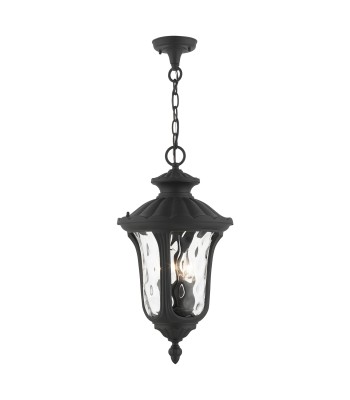 Livex Oxford Outdoor Pendant Lantern 7858-14