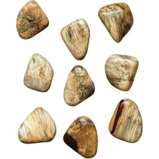 Uttermost Pebbles Wood Wall Decor 04324