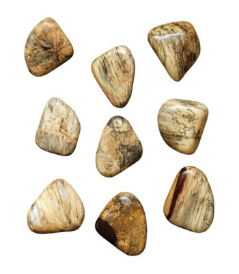 Uttermost Pebbles Wood Wall Decor 04324