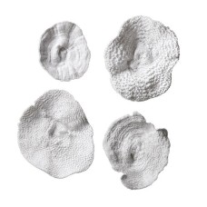 Uttermost Sea Coral Wall Art 20170