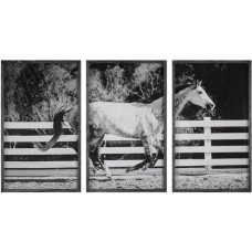 Uttermost Galloping Forward Equine Prints 32279