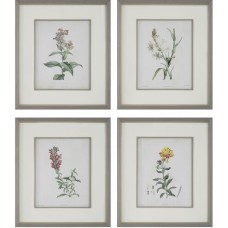 Uttermost Heirloom Blooms Framed Prints 32285