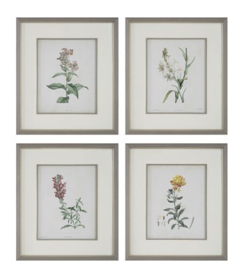 Uttermost Heirloom Blooms Framed Prints 32285