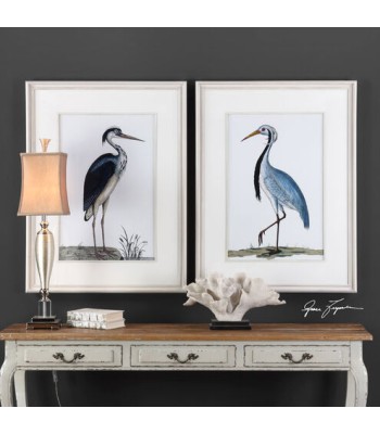 Uttermost Shore Birds Framed Bird Prints 33668