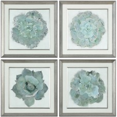 Uttermost Natural Beauties Prints 33679