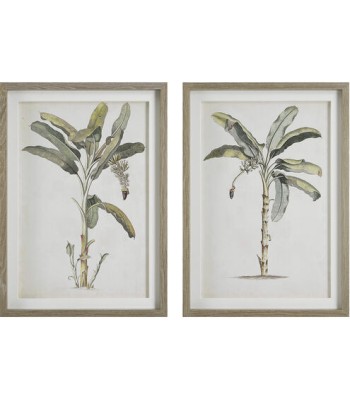 Uttermost Banana Palm Framed Prints 41446