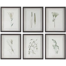 Uttermost Forest Finds Framed Prints 41459