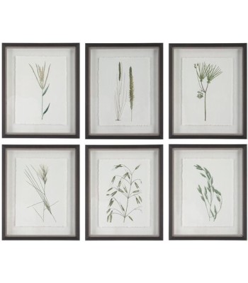 Uttermost Forest Finds Framed Prints 41459