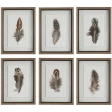 Uttermost Birds Of A Feather Framed Prints 41460