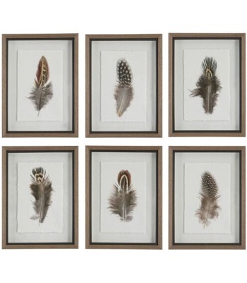 Uttermost Birds Of A Feather Framed Prints 41460