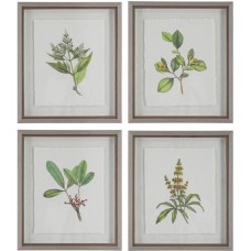 Uttermost Wildflower Study Framed Prints 41461