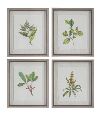 Uttermost Wildflower Study Framed Prints 41461