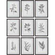 Uttermost Farmhouse Florals Framed Prints 41617