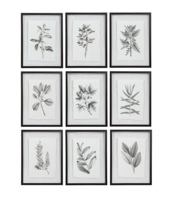 Uttermost Farmhouse Florals Framed Prints 41617