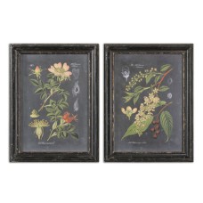 Uttermost Midnight Botanicals Art Prints 56053