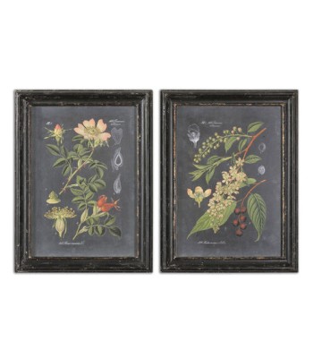Uttermost Midnight Botanicals Art Prints 56053
