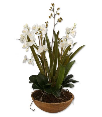 Uttermost Moth Orchid Planter Botanical 60039