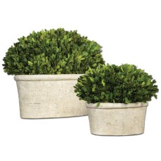 Uttermost Preserved Boxwood Botanicals 60107