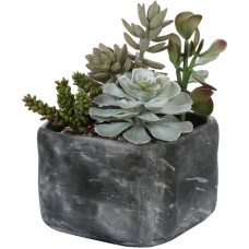 Uttermost Alverio Succulents 60173