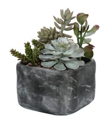 Uttermost Alverio Succulents 60173