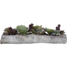 Uttermost Charita Succulents 60174