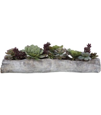 Uttermost Charita Succulents 60174
